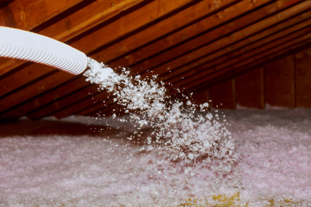 Best Insulation Contractor Near Me  in Pleasant Hill, TX