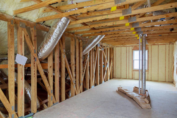 Best Spray Foam Insulation  in Pleasant Hill, TX