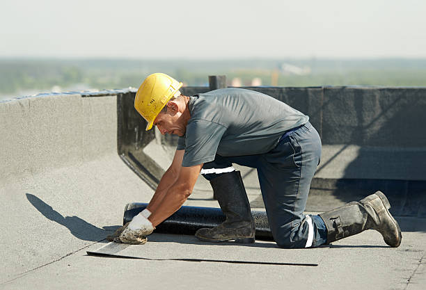 Best Local Insulation Services  in Pleasant Hill, TX