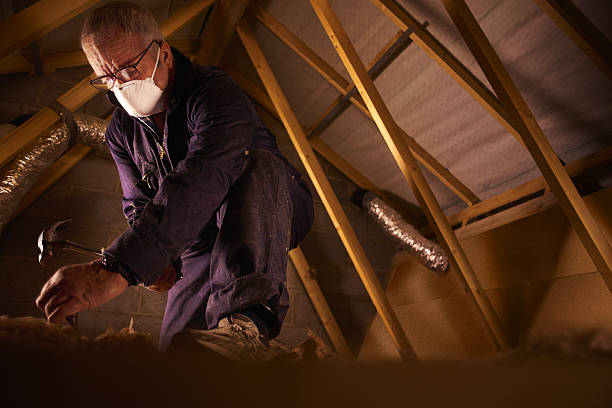 Best Insulation Inspection Services  in Pleasant Hill, TX